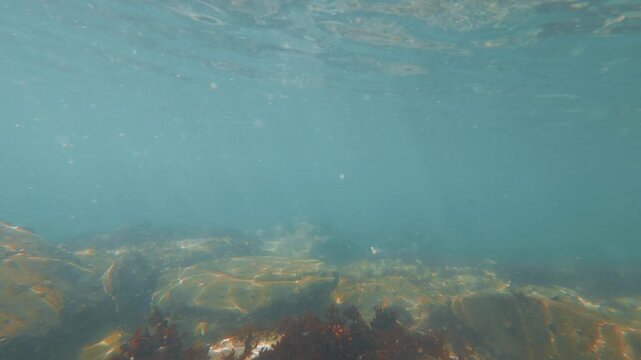 view of seafloor