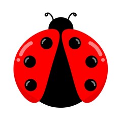 Ladybug, ladybird icon. Cute cartoon kawaii funny baby character. Black and red insect. Childish style. Happy Valentines Day Card Sticker © Stock Arza