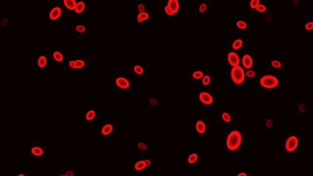 Healthy Crimson Premium Blood Cell Stream Seamless Loop Background - 4K Seamless Loop