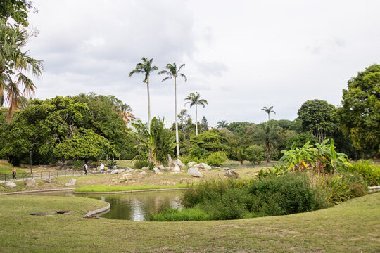 Parque Generalisimo Francisco de Miranda (Parque del Este) Caracas