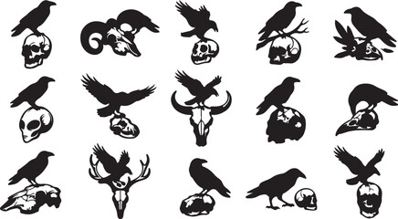 Naklejka premium Black crow bird with skull and antlers flying and perched in different poses