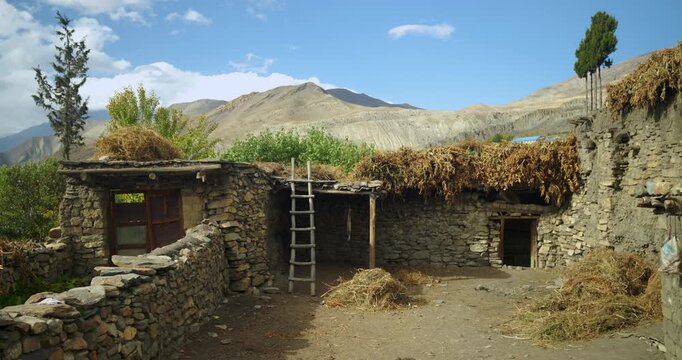 Annapurna Circuit, Mustang Nepal, traditional mud and stone houses with stacked hay and wooden ladders in a rural village setting.