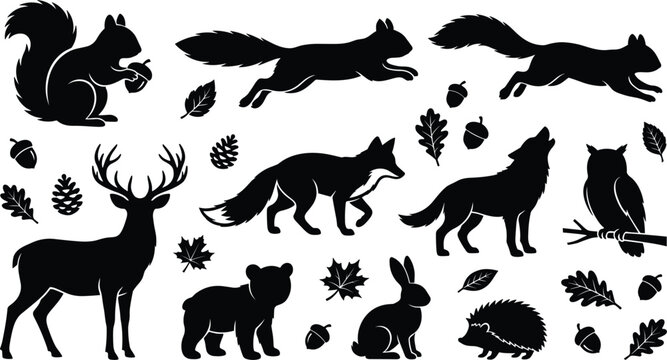 Forest woodland animals silhouette vector collection featuring wild deer fox wolf bear owl squirrel rabbit hedgehog acorns and autumn leaves icon set