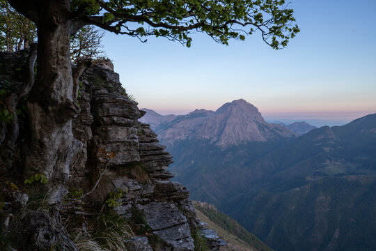 View of the Apuan Alps mountain range at sunset with a rugged rocky cliff and a gnarled tree in the foreground in Minucciano, Tuscany, Italy.
