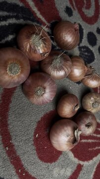 onions produced in Bangladesh