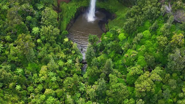 Bridal Veil Falls, New Zealand, plunges through lush native forest into natural pool, dramatic cliffs, flowing water and pristine North Island wilderness.