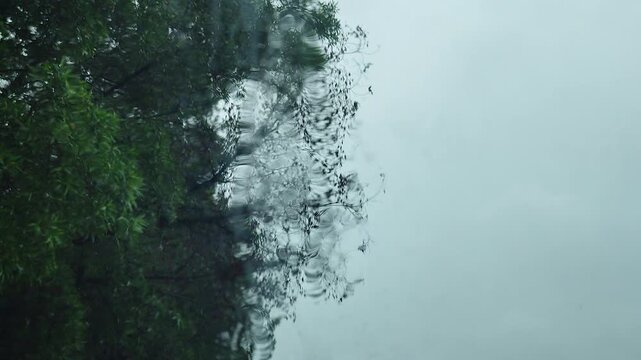 Forest trees blurred behind glass covered in rain, water droplets sliding down window pane during rainfall, calm rainy day nature background.