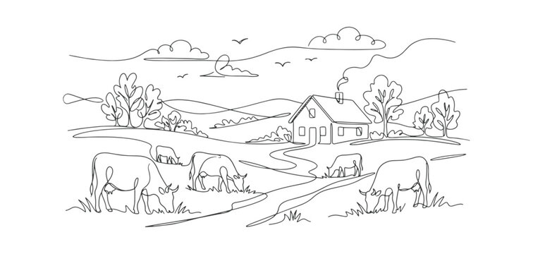 A rural scene illustrated in a single line. Cows are munching on the grass. A country home. Simple graphics. House situated in the field.
