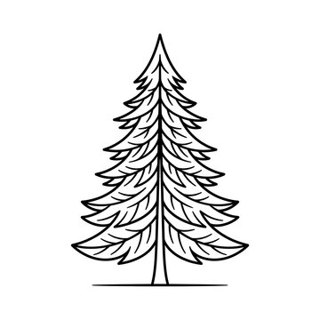 Minimalist Pine Tree Line Art