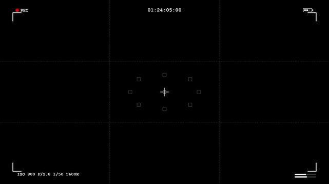 Digital Camera Viewfinder Recording Screen Overlay