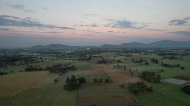 チャイナットの田園風景の空撮　ชัยนาท　Rice feild, Chai Nat　Drone Shooting