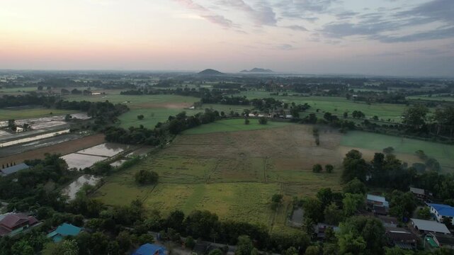 チャイナットの田園風景の空撮　ชัยนาท　Rice feild, Chai Nat　Drone Shooting