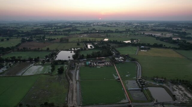チャイナットの田園風景の空撮　ชัยนาท　Rice feild, Chai Nat　Drone Shooting