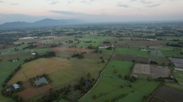 チャイナットの田園風景の空撮　ชัยนาท　Rice feild, Chai Nat　Drone Shooting