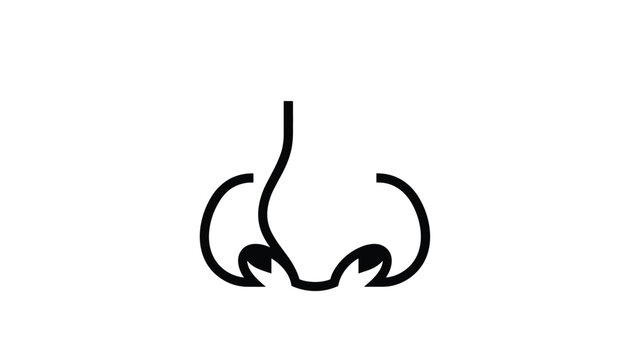 Minimal human nose outline icon representing the sense of smell, respiration, otolaryngology, and breathing.