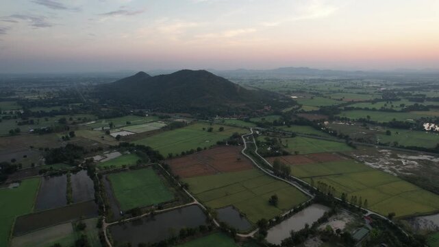 チャイナットの田園風景の空撮　ชัยนาท　Rice feild, Chai Nat　Drone Shooting