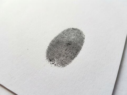 Unique Human Fingerprint Identification Mark Detailed Macro Shot