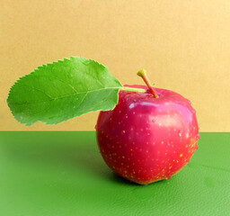 red apple with leaf © Sunday