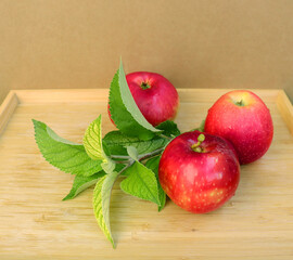 red apple with leaf © Sunday
