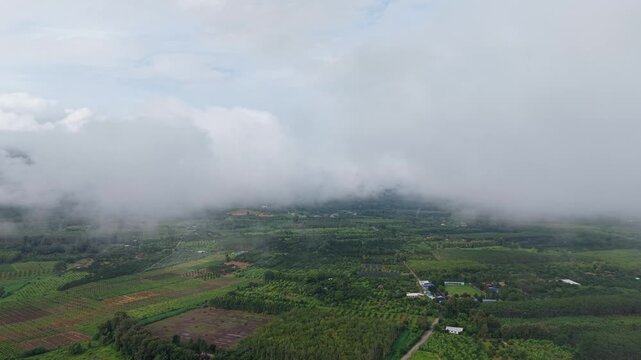 クウェー川の空撮・カーンチャナブリー　เดอะ ฟอร์ เรสท์ รีสอร์ท　River Kwai, Kanchanaburi, Drone shooting