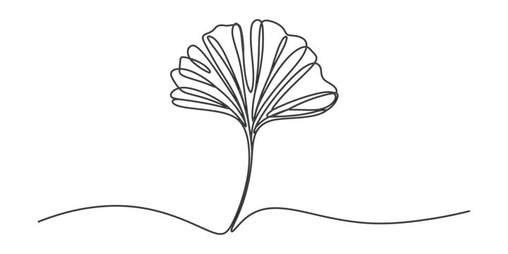 Single continuous line drawing of a ginkgo biloba leaf for minimalist nature art