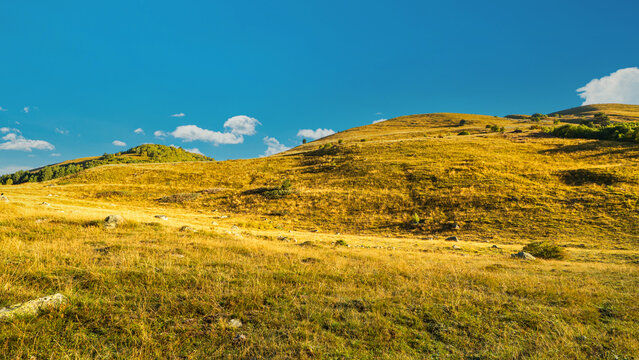 Landscape photograph of golden grass field on rolling mountain hill under clear blue sky with white clouds in Svaneti Georgia.