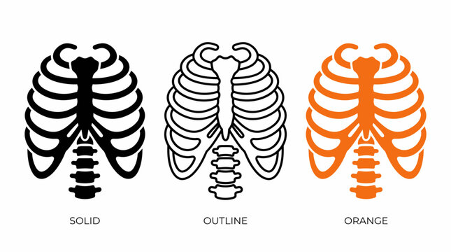 Three stylized rib cage and spine illustrations in solid, outline, and orange line styles, anatomical vector design emphasizing skeletal structure