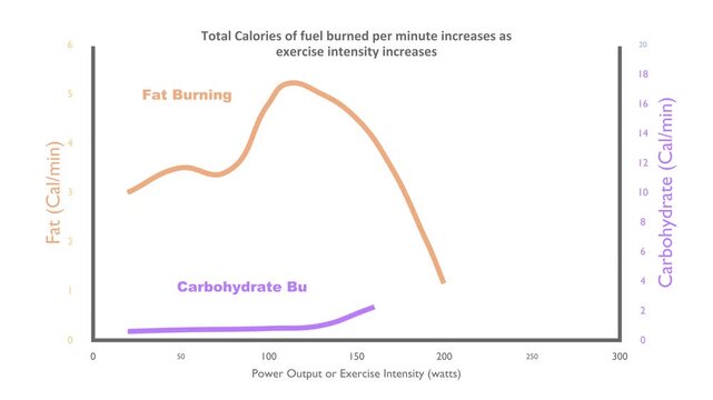A line graph showing how fat and carbohydrate burning change as exercise intensity grows. Fat burning peaks at easy effort then falls, while carbohydrate burning rises to maximum at high power.