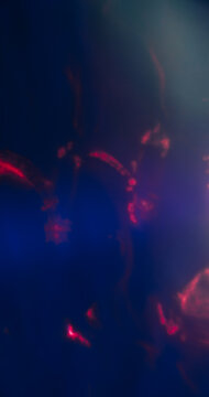 Blue foil. Blur holographic light. Defocused purple red neon color glint radiant optical gleam texture lens flare on illuminated dark black background.