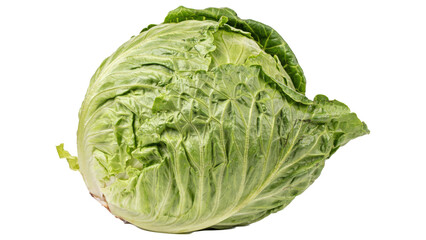 Fototapeta premium A single fresh whole head of green savoy cabbage with crinkled textured leaves for healthy cooking ingredients isolated on a transparent background