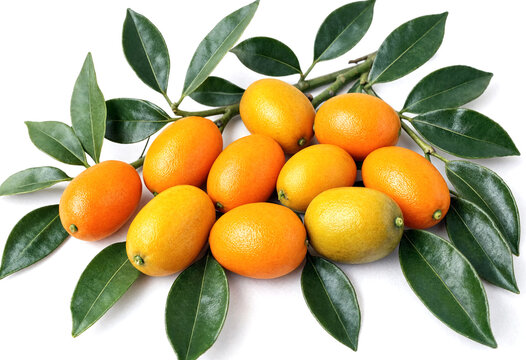 Fresh kumquat fruits with green leaves isolated on transparent background for healthy eating concept