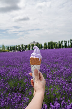 ​Hand holding a lavender soft-serve ice cream cone with  purple flower fields background.