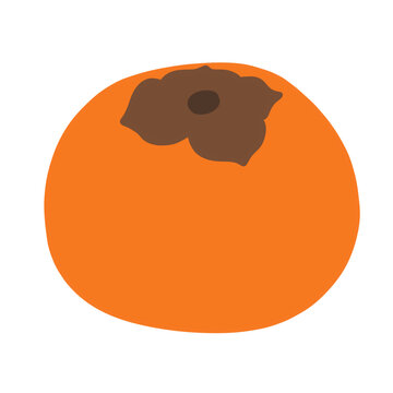 Simple Flat Persimmon Fruit Vector Illustration - Autumn Harvest Graphic