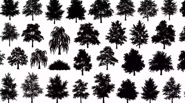 Animated pattern of diverse tree silhouettes, oak, weeping willow, and bushes, black on white, nature elements