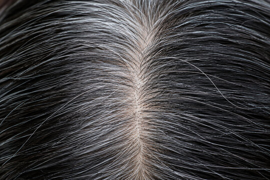 Close up of grey hair roots at the parting of dark hair