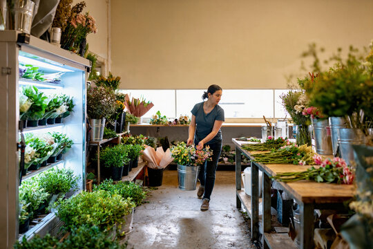 Florist Carrying Flower Bucket in Workshop