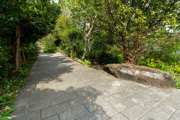 Obraz premium Lush Green Hiking Path on Section 5 of the Taipei Grand Trail in Neihu, Taiwan