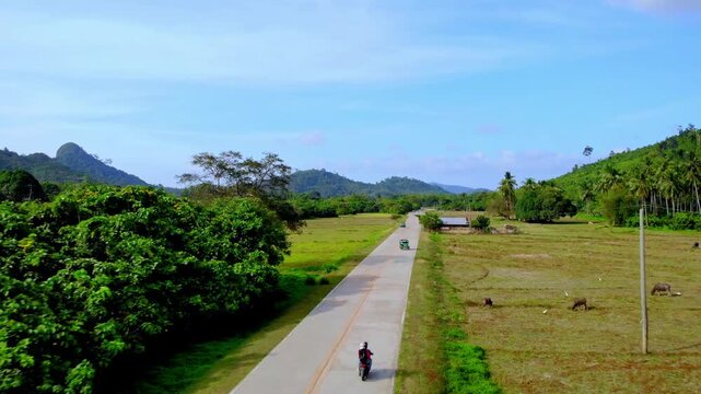 Aerial view of a road through lush landscape with palm trees and mountains in Palawan, Mimaropa, Philippines.