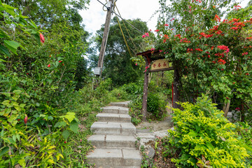 Obraz premium Lush Green Hiking Path on Section 5 of the Taipei Grand Trail in Neihu, Taiwan