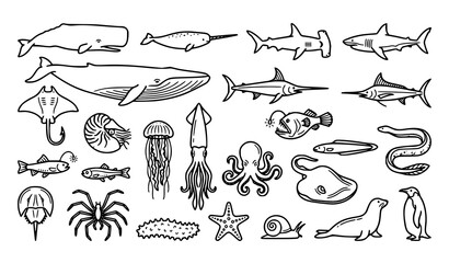 Deep Ocean Marine Wildlife and Sea Creature Black Line Vector Icons © MSTSARMIN