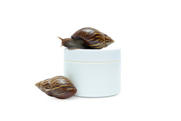 Skin care. Two snails rest on a skincare jar showcasing innovative skin care concept, PNG © Atlas