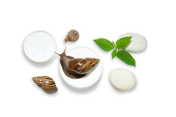 Skin care. Snails are near skincare containers and natural stones. Natural skincare concept, PNG © Atlas