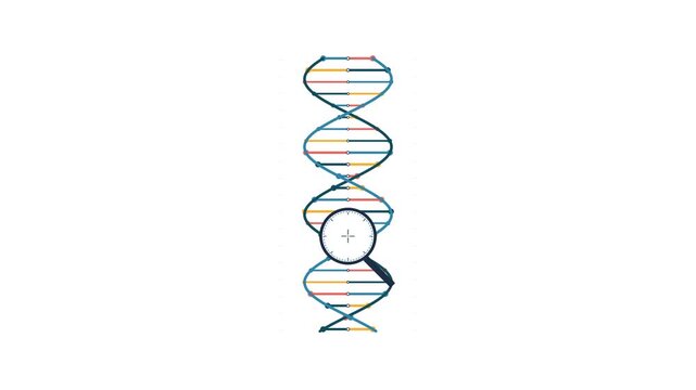 Magnifying Glass Scanning DNA Double Helix for Genetic Analysis Animation