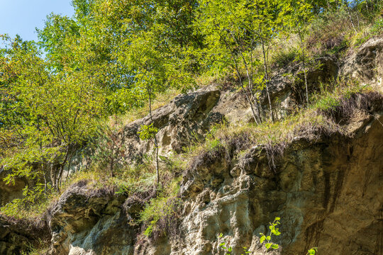 Majestic rocky cliffs and towering trees against blue sky. View of the rocks in Kislovodsk, Russia.