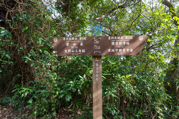 Obraz premium Lush Green Hiking Path on Section 5 of the Taipei Grand Trail in Neihu, Taiwan