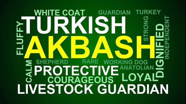 Akbash Word Cloud