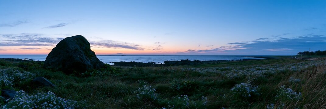Aomori climate resilient meadow with boulder at sunset