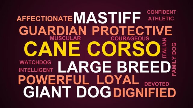 Cane Corso Word Cloud