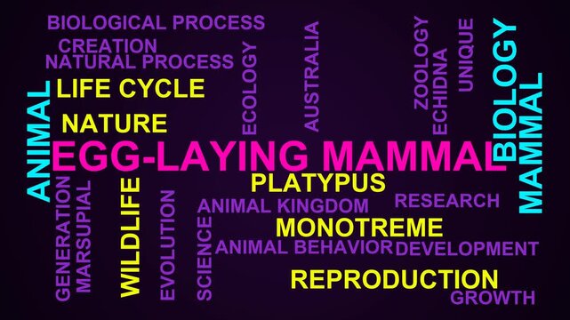 Egg-Laying Mammal Word Cloud