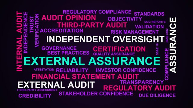 External Assurance Word Cloud